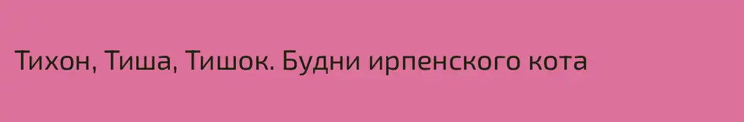 Тихон, Тиша, Тишок. Будни ирпенского кота